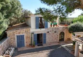 441290-Vorschaubild3