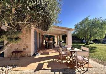 441290-Vorschaubild4