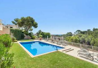 463090-Vorschaubild2