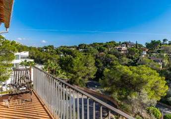 463124-Vorschaubild2