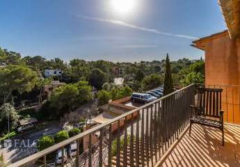 463124-Vorschaubild3