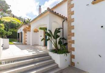 463141-Vorschaubild4