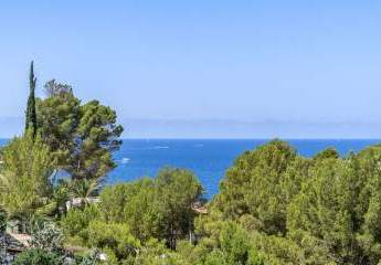 463144-Vorschaubild2