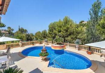 463144-Vorschaubild3