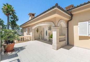 463144-Vorschaubild4