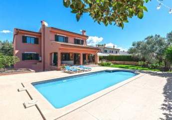 463153-Vorschaubild2