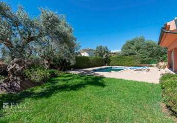 463153-Vorschaubild3