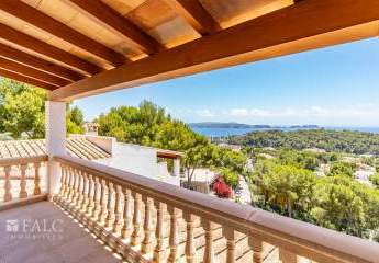 368512-Vorschaubild3