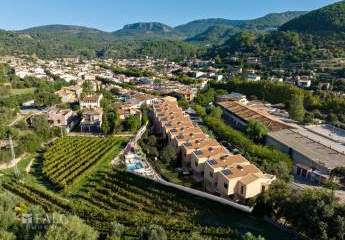 463241-Vorschaubild3