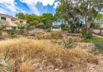 463246-Vorschaubild2