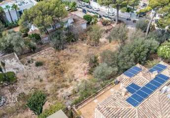 463246-Vorschaubild3