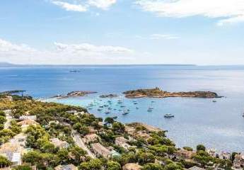 463246-Vorschaubild4