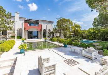 463256-Vorschaubild2