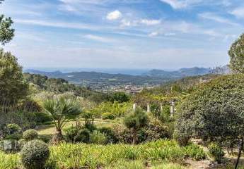 463256-Vorschaubild3