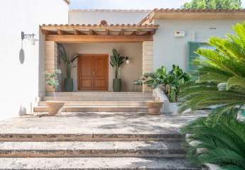 463333-Vorschaubild3