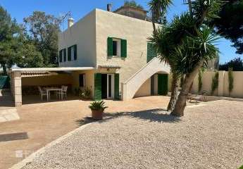 463358-Vorschaubild2