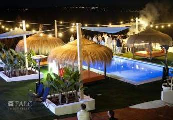 403935-Vorschaubild3