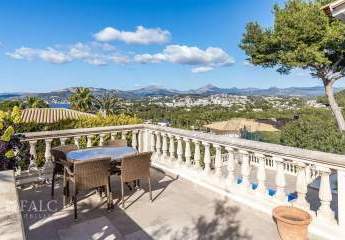 463448-Vorschaubild3