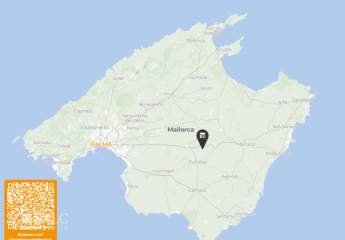 454502-Vorschaubild3