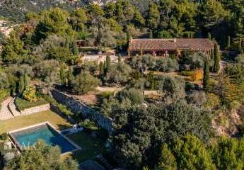 463511-Vorschaubild3