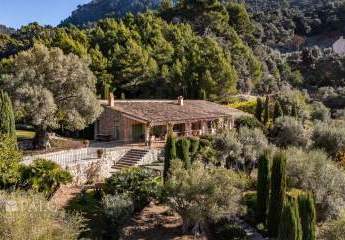 463511-Vorschaubild4