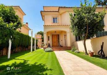 463583-Vorschaubild4