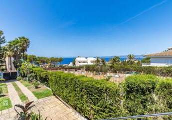 463961-Vorschaubild2