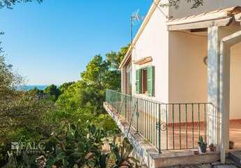 464190-Vorschaubild2