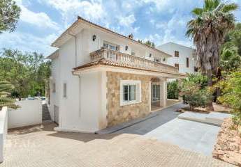 464225-Vorschaubild2