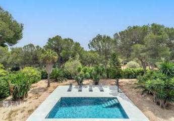 464225-Vorschaubild3