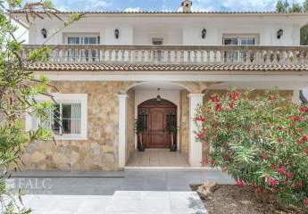 464225-Vorschaubild4