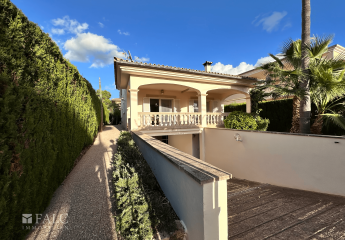 456142-Vorschaubild3