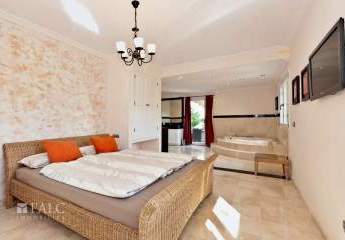 464878-Vorschaubild4