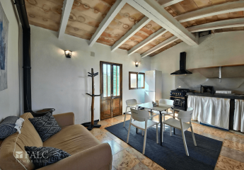 419863-Vorschaubild3