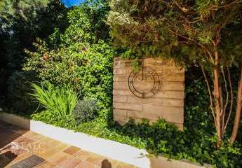 464905-Vorschaubild3