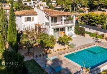 464938-Vorschaubild2