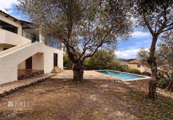 464190-Vorschaubild3