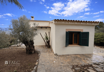 464190-Vorschaubild4