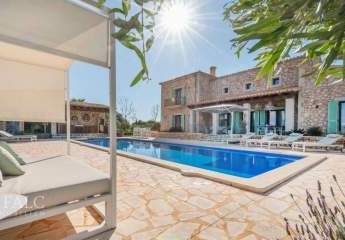 465542-Vorschaubild2