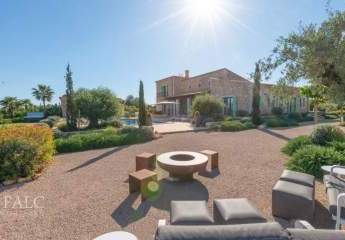 465542-Vorschaubild3