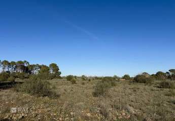 462184-Vorschaubild4