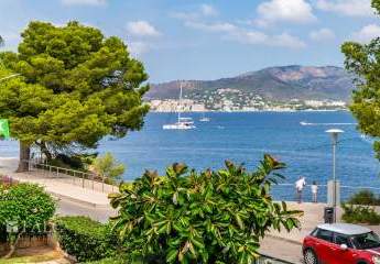 465717-Vorschaubild3