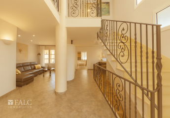 444119-Vorschaubild2