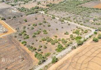 460669-Vorschaubild2