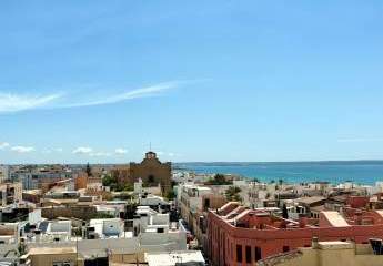 466010-Vorschaubild3