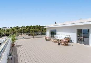 466195-Vorschaubild4