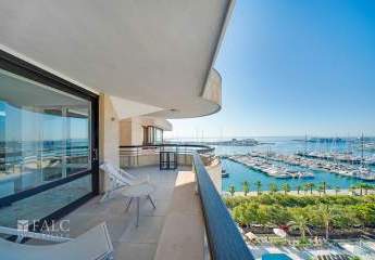 466200-Vorschaubild2