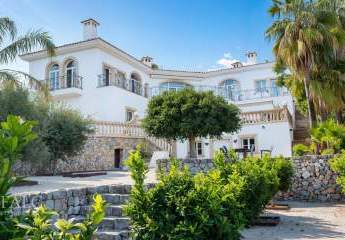 466201-Vorschaubild2