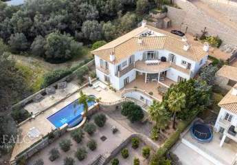 466201-Vorschaubild3