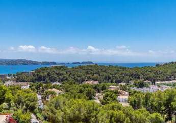 466209-Vorschaubild2